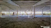 Hala industriala 2000 mp + teren 2776 mp | Rasnov – zona i
