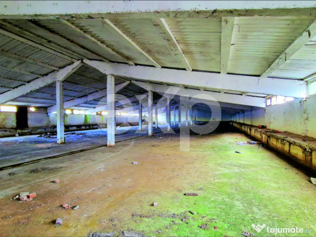 Hala industriala 2000 mp + teren 2776 mp | Rasnov – zona i