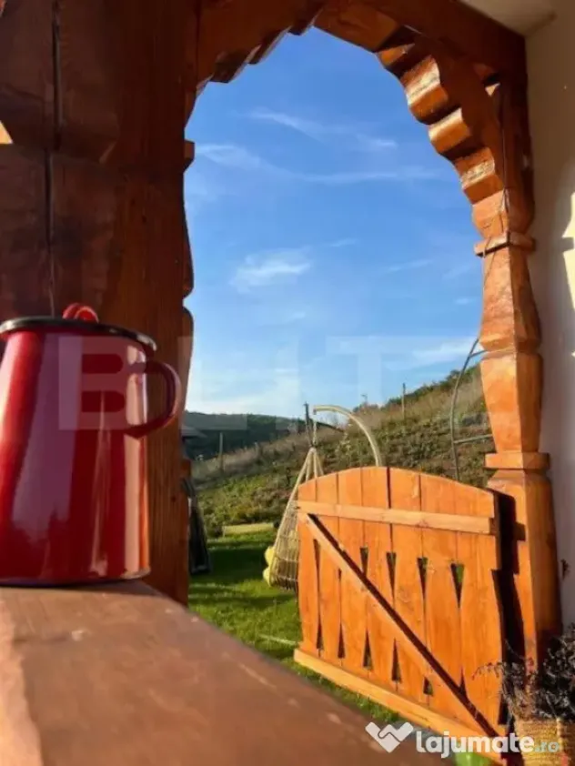 Agropensiune în mijlocul naturii – business la cheie, ven