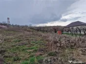 Teren intravilan in Oncea, str. Prunilor 