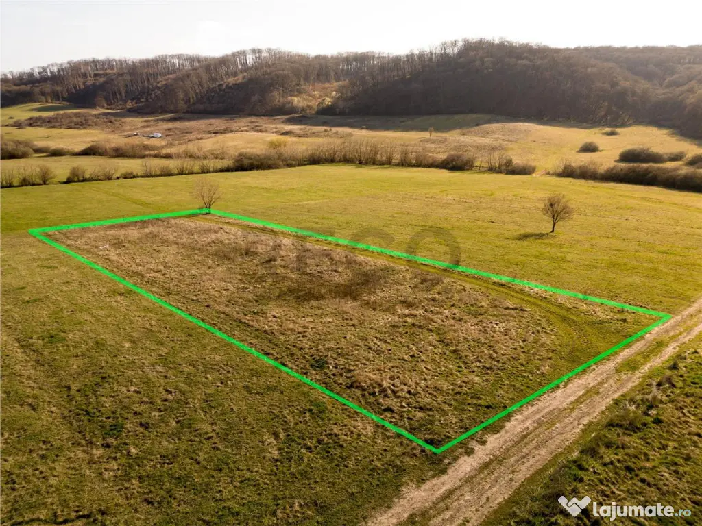 RECO teren intravilan in Betfia