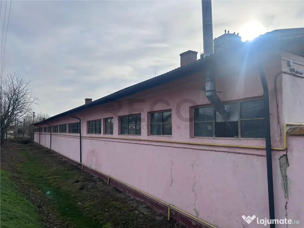 Hala industriala de in Marghita – 930 mp utili, teren 2470