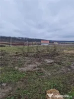 Teren intravilan cu proiect de casa in Pausa.