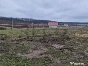 Teren intravilan cu proiect de casa in Pausa. 