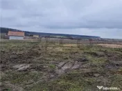 Teren intravilan cu proiect de casa in Pausa. 