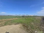 RECO Teren in Nojorid 