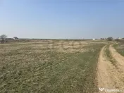 RECO Teren Grigorescu 