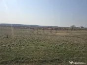 RECO Teren Grigorescu 