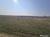 RECO Teren Grigorescu 