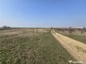 RECO Teren Grigorescu 