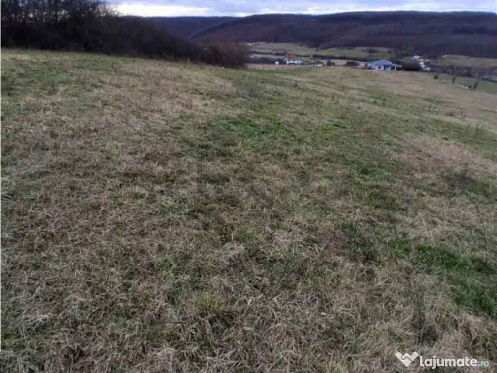 RECO Teren intravilan 5487 mp cu dublu front stradal-zona Be