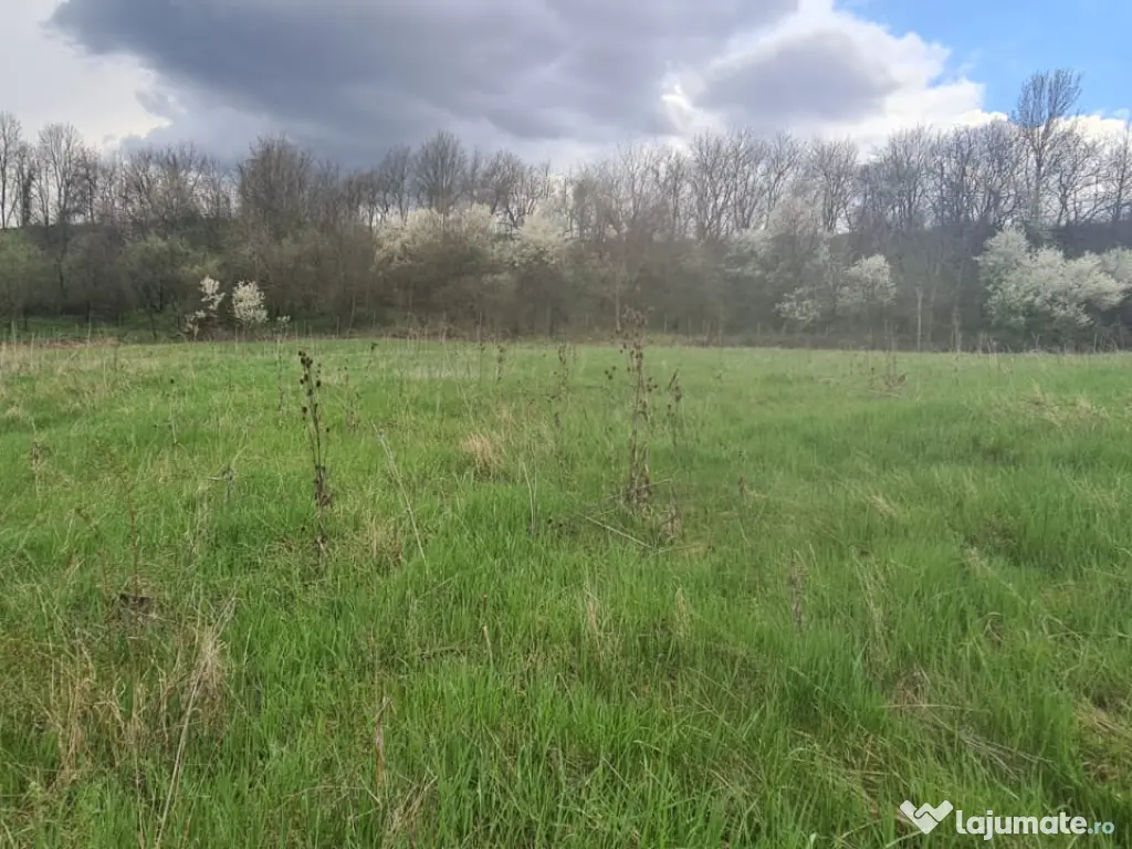 Teren intravilan/extravilan 12264mp