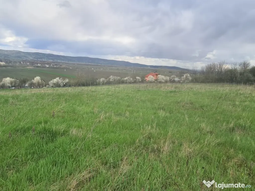 Teren intravilan/extravilan 12264mp