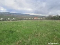 Teren intravilan/extravilan 12264mp