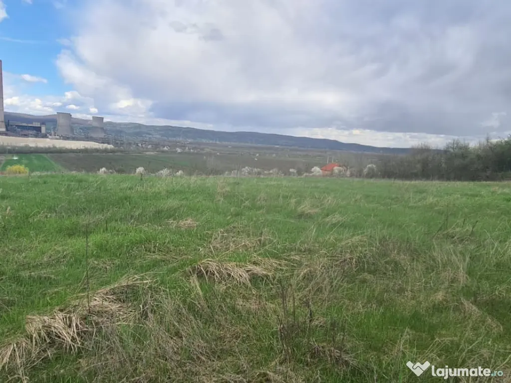 Teren intravilan/extravilan 12264mp