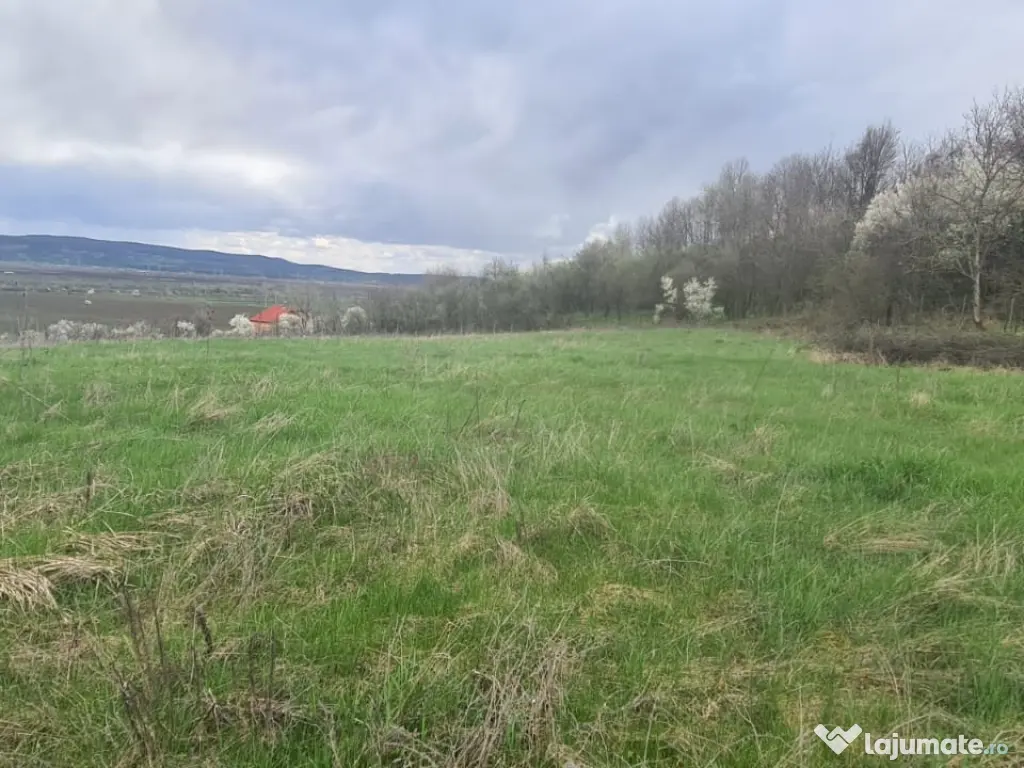 Teren intravilan/extravilan 12264mp