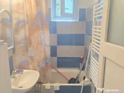 Vand garsoniera decomandata Deva Zamfirescu, parter, scurgeri separate 