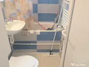 Vand garsoniera decomandata Deva Zamfirescu, parter, scurgeri separate 