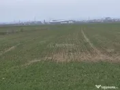 Teren extravilan 7.900 mp de zona Parapet Targovi#537;te 