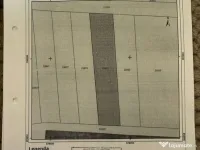 Teren intravilan de vânzare 1000mp 