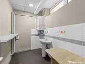 Spațiu Comercial Premium – Ultracentral – Vad Excelent 