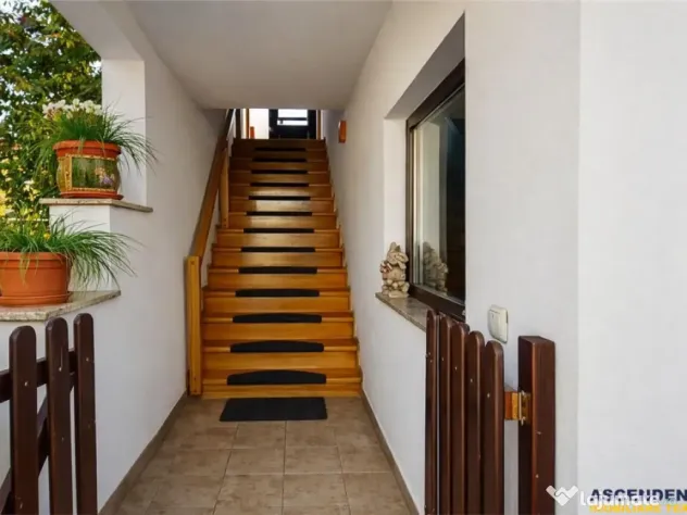 Nivel in casa, recomandat si activitati birou, Central, Bra