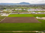 FILM! Teren intravilan, cu PUZ, pe 10.000 mp, Grivitei, Bras 