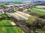 Casă din cărămidă cu teren generos de 2460 mp și ane... 