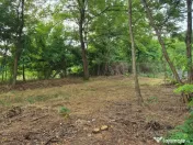 TEREN IDEAL PENTRU A-FRAME SAU UN CONTAINER MODERN 