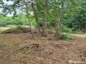 TEREN IDEAL PENTRU A-FRAME SAU UN CONTAINER MODERN 