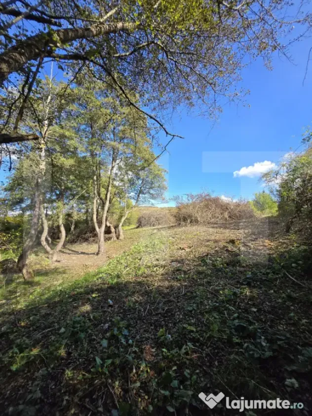 Teren 1023 mp în Cluj-Napoca, zona Câmpului – oportunita