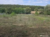 TEREN INTRAVILAN//COM. PLOPU//1300//2700 MP 