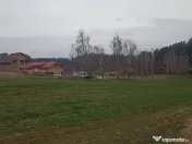 De vânzare terenuri intravilane în Reci 