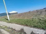 Teren intravilan, Pielești, 981 mp, front 27 m