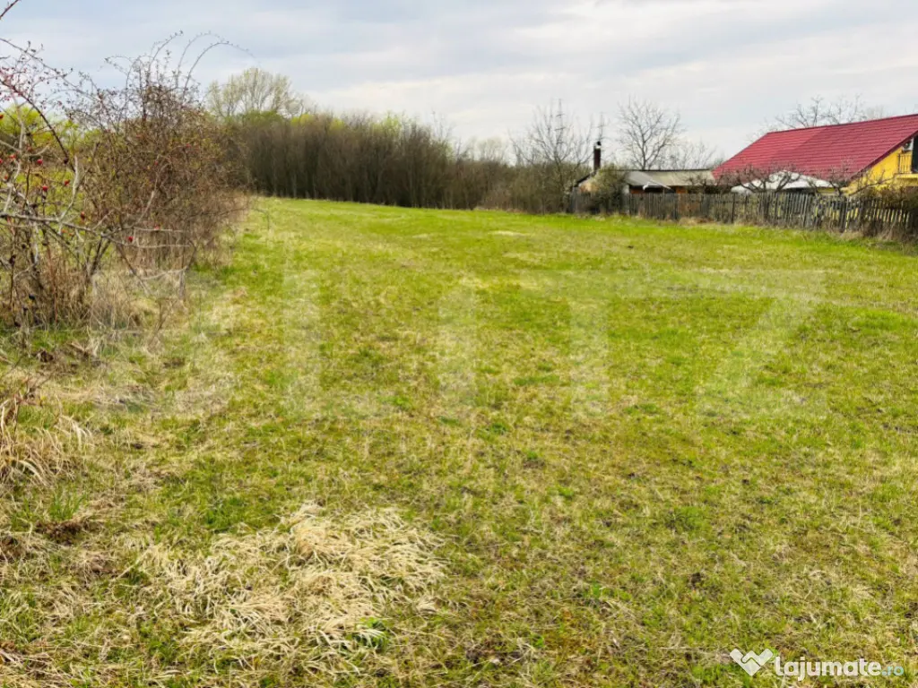 Teren intravilan, 1020 mp, zona Buna Ziua - Mihai Romanul