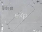 Padure de vanzare Budeasa Sudeaua 