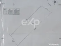 Padure de vanzare Budeasa Sudeaua