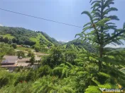 FILM!View superb catre munti,teren pretabil constructie Hote 