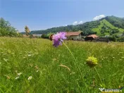 FILM!View superb catre munti,teren pretabil constructie Hote 