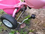 Vand Tricicleta Puky Lillife cu centuri de siguranță 