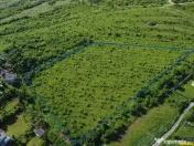 Lot premium,17.200 mp,PUG, oportunitate extinsa,10 min de Ta 