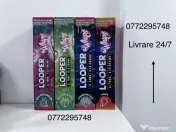 Butelii azot NO2 pentru AROME : Pepene, Mar, Mango, Capsuni Kiwi. 