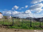 Teren intravilan, Simnicul de Sus, Romanesti, 1000(1500) mp 