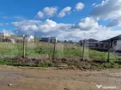 Teren intravilan, Simnicul de Sus, Romanesti, 1000(1500) mp 