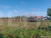 Casa + gospodarie la Silagiu/Buzias 