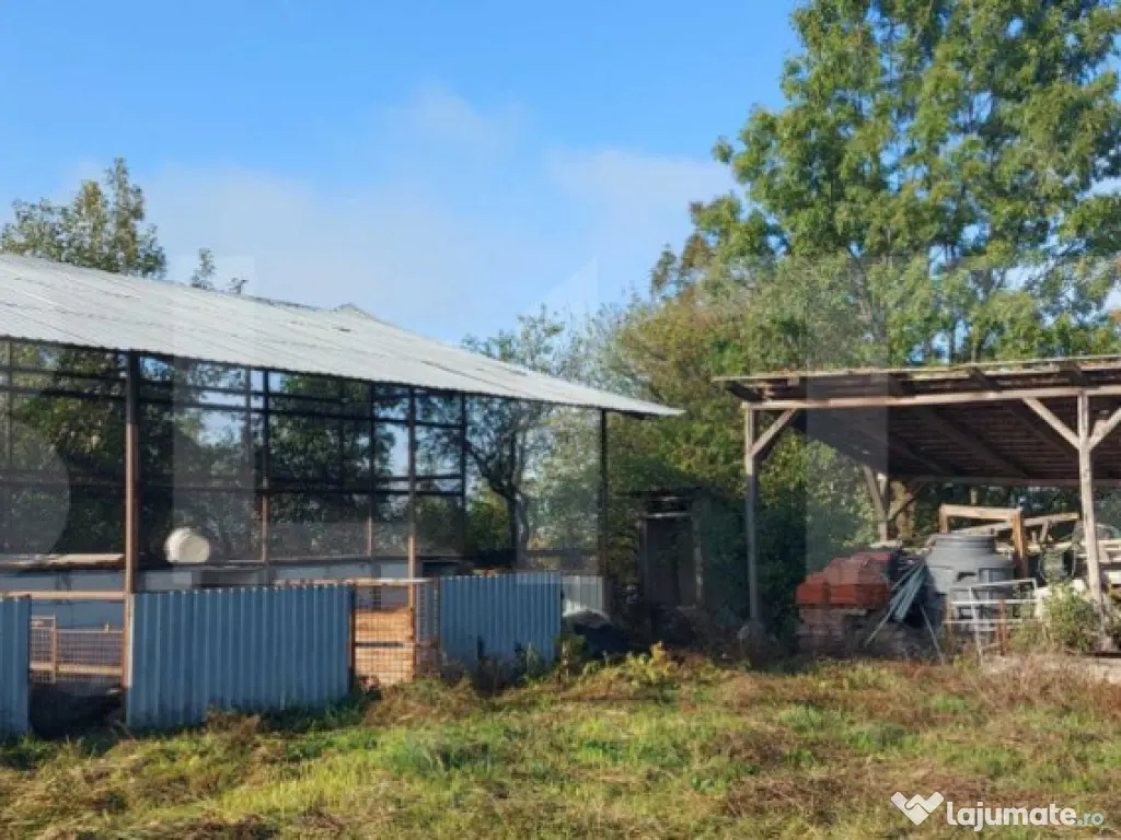 Casa + gospodarie la Silagiu/Buzias
