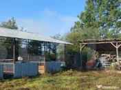 Casa + gospodarie la Silagiu/Buzias 