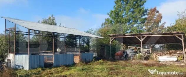 Casa la Silagiu/Buzias