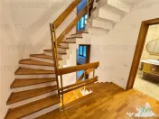 Vila pretabila rezidenta/office Iancu Nicolae 