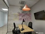 Birouri clasa A, 800mp/etaj compartimentare flexibila Cal... 